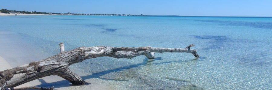 Porto Cesareo 1 (Mare)